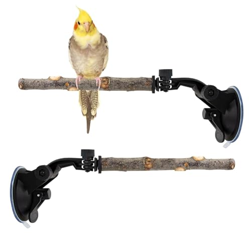 Sitzstange für Vögel, 2-teilig, verstellbar, Spielzeug für Dressur – Sitzstange für Reisen mit Saugnapf – für Balkon, Außenbereich, Terrasse, , Baum, Wand, Spiegel Sitzstange für Vögel, 2-teilig, verstellbar, Spielzeug für Dressur – Sitzstange für Reisen mit Saugnapf – für Balkon, Außenbereich, Terrasse, , Baum, Wand, Spiegel von Générique