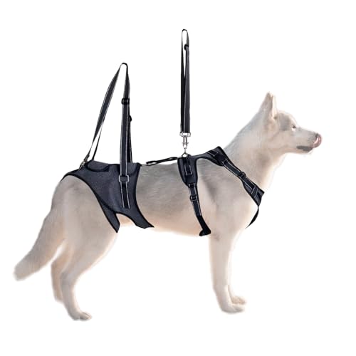 Stützgeschirr für Hunde, Körperunterstützung für Hunde mit Griffen – verstellbarer Assistenzgurt für Rehabilitation und ältere Tiere von Générique