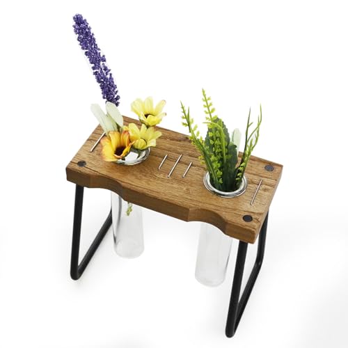 Terrarium für Schreibtisch, mit Halterung aus Holz | Deko-Zubehör für Garten und Innenbereich für Büro, und Fensterbank Terrarium für Schreibtisch, mit Halterung aus Holz | Deko-Zubehör für Garten und Innenbereich für Büro, und Fensterbank von Générique