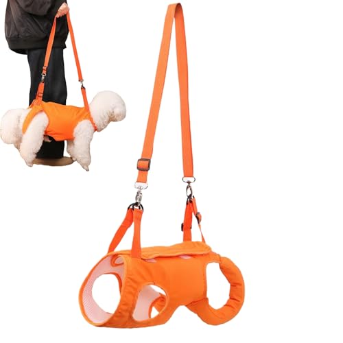 Tragegeschirr für große Hunde | Geschirr Weste für Hunde, verstellbar, Hilfsgurt für das Gehen flexibel für ältere Tiere gelähmt oder behinderte Tiere im Freien zum Training Tragegeschirr für große Hunde | Geschirr Weste für Hunde, verstellbar, Hilfsgurt für das Gehen flexibel für ältere Tiere gelähmt oder behinderte Tiere im Freien zum Training von Générique