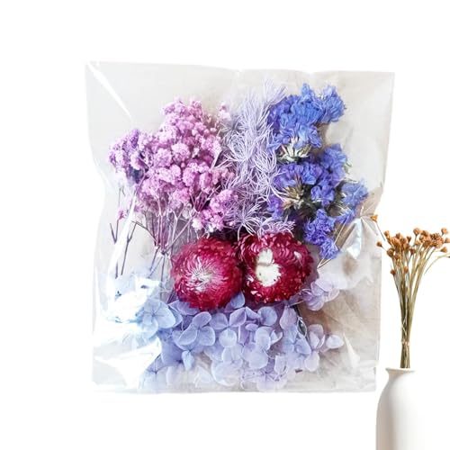 Trockene Blumen zur Dekoration, getrocknete Blumen | Bastelset für losen Blumenstrauß | Lebendige natürliche getrocknete Blumen für Bilderrahmen, Handwerk, Harzform und Kerzenherstellung Trockene Blumen zur Dekoration, getrocknete Blumen | Bastelset für losen Blumenstrauß | Lebendige natürliche getrocknete Blumen für Bilderrahmen, Handwerk, Harzform und Kerzenherstellung von Générique