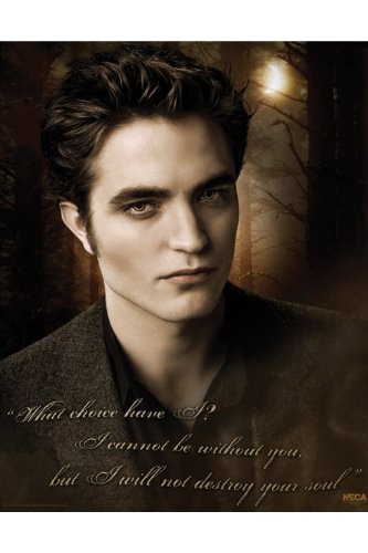Twilight - Edward - Zitat - 40 x 50 cm Poster von Générique