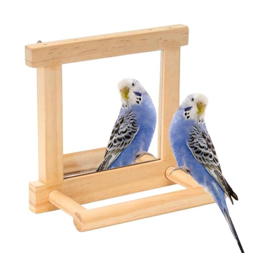 Vogel-Spiegelstange für Käfig, Vogelkäfig-Spiegel mit Sitzstange | Pfotenabdrücke für Vögel – Stehende aus Holz, Anreicherungszweig und Käfig für den Vogelkäfig Vogel-Spiegelstange für Käfig, Vogelkäfig-Spiegel mit Sitzstange | Pfotenabdrücke für Vögel – Stehende aus Holz, Anreicherungszweig und Käfig für den Vogelkäfig von Générique