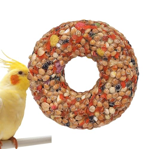 Vogelbehandlungen – Wellensittiche Treats | Wellensittichspielzeug | Vogelspielzeug für Wellensittiche | Teether Getreide bietet eine Donutform | Sofakissen für Ausbildung und Bereicherung Vogelbehandlungen – Wellensittiche Treats | Wellensittichspielzeug | Vogelspielzeug für Wellensittiche | Teether Getreide bietet eine Donutform | Sofakissen für Ausbildung und Bereicherung von Générique