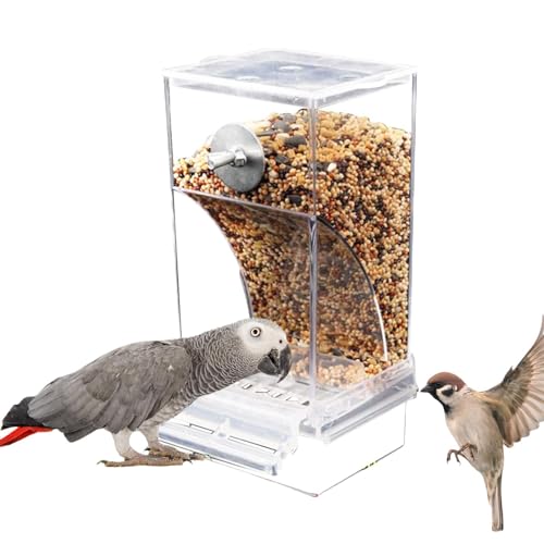 Vogelfutterstation Transparent - Transparente Vogelfutterstation aus Acryl | Vogelfutterspender für Papageien, Futterautomat für Vögel, Vogelfutterstation Transparent, Vogelfutterstation für von Générique