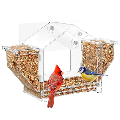 Vogelfutterstation für Fenster – abnehmbares Tablett für kleine Vögel | Die klaren Vogelfutterspender sind eine einzigartige Gartenarbeit | Eichhörnchenfestes Feeder für den Ex von Générique