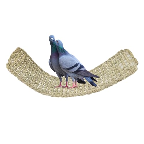 Vogelmatte – natürliches Käfigspielzeug, Kauspad zum Aufhängen | sicheres Haustierzubehör mit Klettergerüst, geeignet für Papageien Budgies CACCASS Vogelmatte – natürliches Käfigspielzeug, Kauspad zum Aufhängen | sicheres Haustierzubehör mit Klettergerüst, geeignet für Papageien Budgies CACCASS von Générique