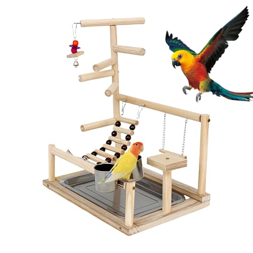 Vogelständer Bird Play Stand Natural Wooden Play Zone | Perrot Tree Stand mehrschichtig Leiter Bird Toys Stand Branch Conure Bird Bird Play Gym Indoor Ausbildungsstand aus Holz von Générique