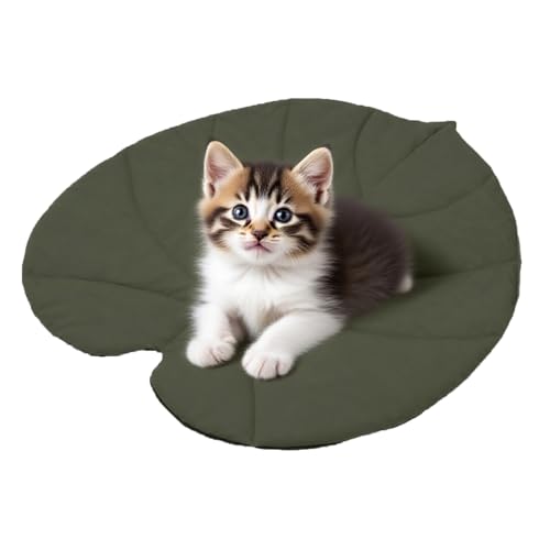 Wassermatte für Tiere – frische Decke in Blattform für Katzen | doppelseitiges Zubehör für Katzen Hunde Isolierung Camping Balkon Garten Haus Reise Wohnzimmer Auto Outdoor von Générique