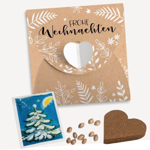 10 x Weihnachtsbaum Anzuchtset "Frohe Weihnachten" inkl. Verpackung | Kleine Geschenke zu Weihnachten für Mitarbeiter und Kollegen von Generisch