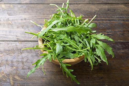 1000 Samen Wilde Rauke Rucola selvatica Rukola Salat Vegan Rohkost Winterhart von Zewool