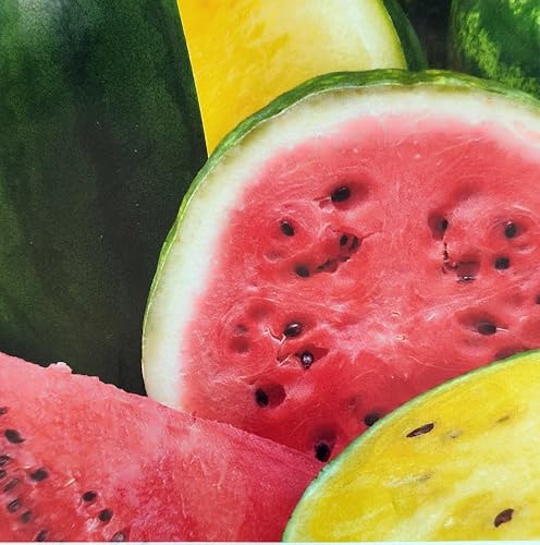 15 Samen Wassermelonen Mix frühe Melonen Melone Wassermelone Saat 15 Samen Wassermelonen Mix frühe Melonen Melone Wassermelone Saat von Generisch