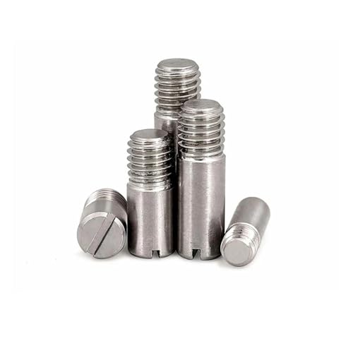 2/10x M2 M2.5 M3 M4 M5 M6 M8 M10 GB878 304 A2 Edelstahl Außengewinde Massivpassstift Schlitzkopf Positionierungsrollenschaft(10pcs M2,12mm) von Generisch