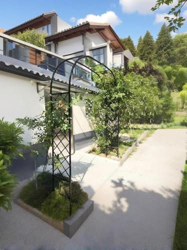 2,4 m Metall-Gartenbogen, Kletterrose, Rankhilfe für Pflanzen im Freien, langlebige Pergola für Gartendekoration, schwarz, 240 cm Höhe x 240 cm Breite, perfekt für Reben und Blumen 2,4 m Metall-Gartenbogen, Kletterrose, Rankhilfe für Pflanzen im Freien, langlebige Pergola für Gartendekoration, schwarz, 240 cm Höhe x 240 cm Breite, perfekt für Reben und Blumen von Generisch