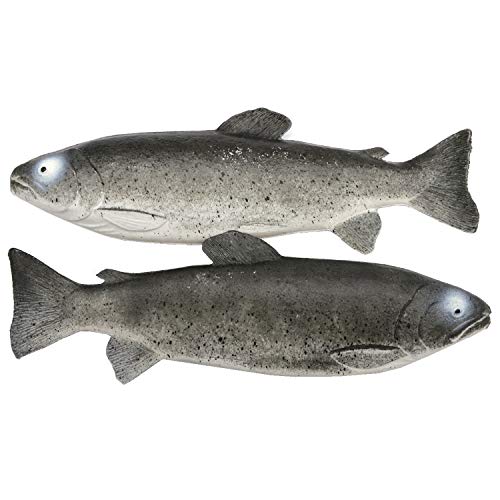 2 Deko-Forellen Attrappen aus Kunststoff Lebensmittelattrappe frischer Fisch Meeresfrüchte Fake von Generisch