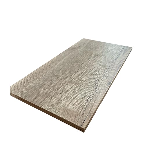 2 Stück Regalboden Einlegeboden WILD-EICHE 567 x 290 mm (L 56,7 cm x B 29,0 cm) Fachboden für 60 cm Küchenschrank Spanplattenzuschnitt mit Kanten - ABS Kanten und Melaminkanten - livindo.pro von Generisch