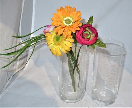 2 Stück Vase Blumenvase Glas ohne Deko Glasvase Zylinder 18 cm hoch von Generisch