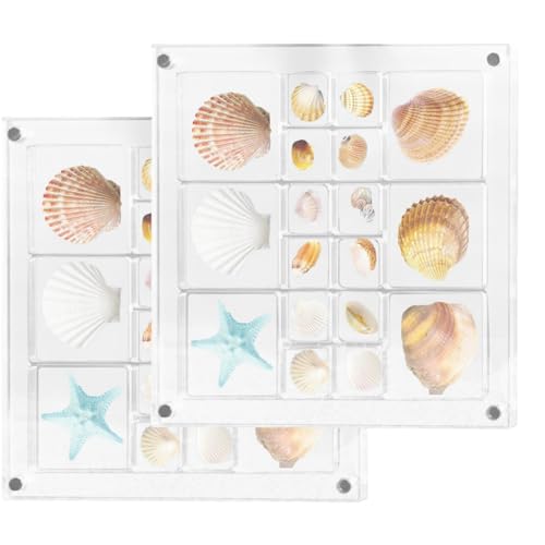 2 Stück magnetische Muschel-Ausstellungsbox aus Acryl, 5,6 x 5,6 Zoll transparente Muschel-Aufbewahrungsbox, Magnet-Muschelbox, kleine Bastel-Organizer-Vitrine, Muschel-Schmuckperlen-Behälter von Generisch
