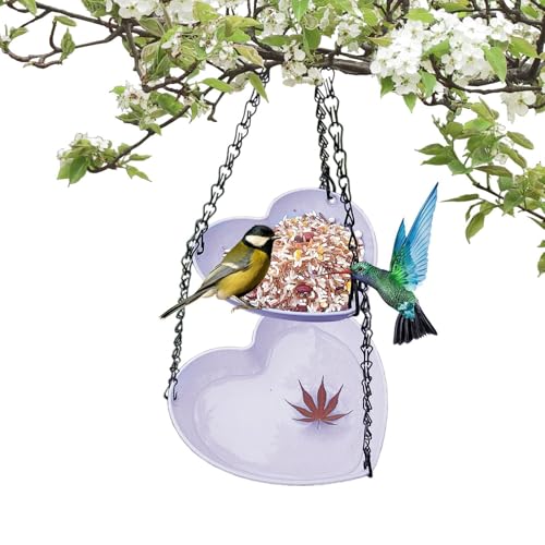 2 in 1 Außenwildvogelfutter und Wasserer, Vogelfutterbad, Hummiingbird Tablett, perfekt für Winter und Sommer, einfaches Setup für Balkon oder Garten, für den Hinterhof Balkon von Generisch