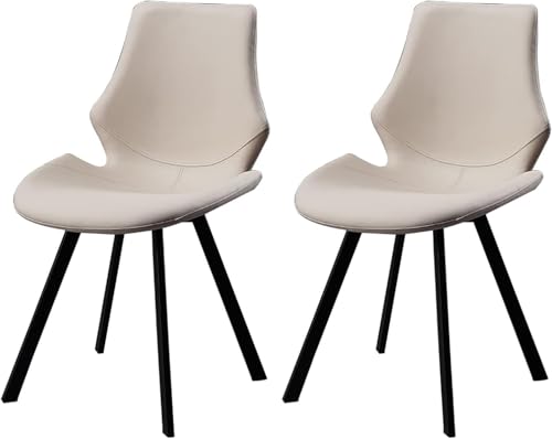 2-teiliges Esszimmerstuhl-Set mit Lederkissen - Computer-Schreibtischstuhl mit schwarzer Eisenhalterung, 45 cm hohe Sitzgelegenheiten for die Freizeit(D) von Generisch