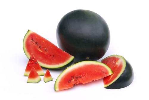 20 Samen Wassermelone Sugar Baby Melonen Obst Garten Watermelon Seeds Melonesamen von Generisch