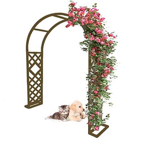 229,9 cm Metall-Gartenbogen-Spalier – robuste Stahl-Kletterpflanzenstütze, elegante Pergola für Innen- und Außenbereich, einfache Montage, verstellbare Größen 140-299 cm 229,9 cm Metall-Gartenbogen-Spalier – robuste Stahl-Kletterpflanzenstütze, elegante Pergola für Innen- und Außenbereich, einfache Montage, verstellbare Größen 140-299 cm von Generisch