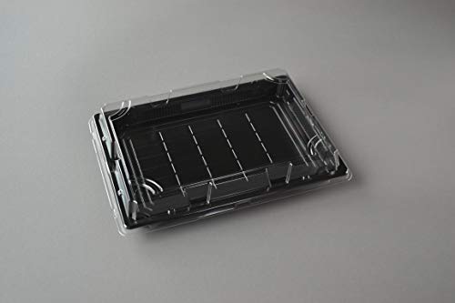 300 Stück Sushi Schalen OP 3.0 mit Deckel (263×190×30 mm) Sushibox Sushi-Verpackung Sushi Tray Take Away Box Schale von Generisch