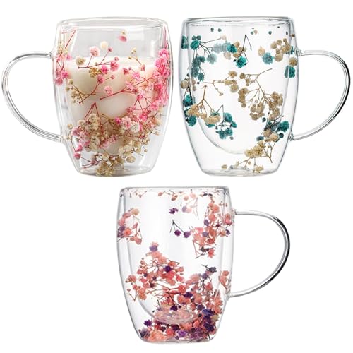 350Ml 3Stück Doppelwandige Glas Kaffeetassen Mit Getrockneten Blumen - Glas Teetassen Doppelwandige Isolierte Kaffeetassen | Kaffeetasse Mit Trockenblumen | Isolierter Hitzebeständiger Doppelwandige von Generisch