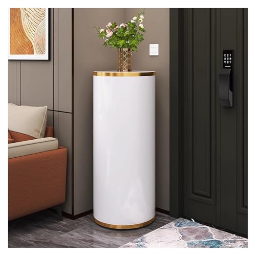 360° drehbares Schuhregal, Stahlschrank für Eingangsbereich und Schlafzimmer, drehende Schuhaufbewahrungslösung, kompaktes rundes Design (45 x 105 cm) von Generisch