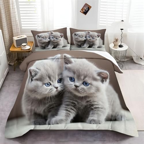 3D Bettbezug Zwei spielende Katzen mit Pinseln Thema Grau Bettbezug 135 x 200 cm + 2 Kissenbezug 80×80 cm Kinder Jugendliche Erwachsene Bettwäsche Deckung Set mit Reißverschluss Weich 3D Bettbezug Zwei spielende Katzen mit Pinseln Thema Grau Bettbezug 135 x 200 cm + 2 Kissenbezug 80×80 cm Kinder Jugendliche Erwachsene Bettwäsche Deckung Set mit Reißverschluss Weich von Generisch