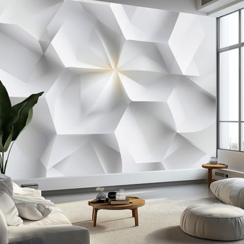 3D Effekt Abstrakte Kunst Vliestapete Moderne Wanddeko, Geometrisch Streifen Blumen Fototapete leicht anzubringen Wandbild Tapeten für Wohnzimmer Kinderzimmer Wandtapete 400 x 280 cm (B x H) von Generisch
