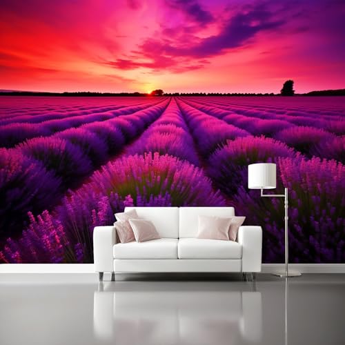 3D Fototapete Natur Ruhe Sonnenuntergang Lavendel 3D Wandbild Tapete - 350 x 256 cm Modern Vlies Fototapeten Vor Dem Fenster Groß Foto Tapete Schlafzimmer Wohnzimmer Büro Wandtapete Deko, Rosa Lila 3D Fototapete Natur Ruhe Sonnenuntergang Lavendel 3D Wandbild Tapete - 350 x 256 cm Modern Vlies Fototapeten Vor Dem Fenster Groß Foto Tapete Schlafzimmer Wohnzimmer Büro Wandtapete Deko, Rosa Lila von Generisch