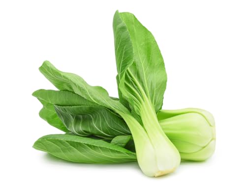 1000 Samen Pak Choi Chinesischer Senfkohl Brassica rapa für Balkon und Garten 1000 Samen Pak Choi Chinesischer Senfkohl Brassica rapa für Balkon und Garten von Generisch