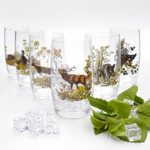 6 teiliges Longdrink Gläser 400ml Set Höhe 13 cm Glas mit farbigen Jagd Dekor Motiv im Geschenk Karton von Generisch