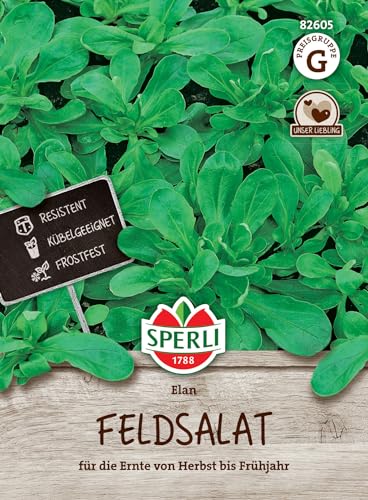 82605 Sperli Premium Feldsalat Samen Elan | Winterhart | Wuchsstark | Ertragreich | Feldsalat Saatgut | Salat Saatgut von Sperli