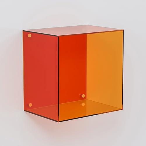 Acryl-Vitrine für Sammlerstücke, Wandmontage oder Tischplatte, klare staubdichte Box für Mini-Actionfiguren und Schuhe, keine Montage erforderlich von Generisch