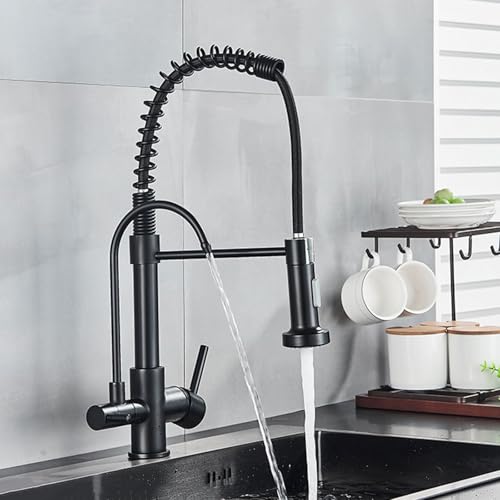 Aqiong 3-in-1 ausziehbare Küchenarmatur mit Doppelgriff-Feder-Design, schwarzer Wasserfilter, strapazierfähig, einfache Installation, moderne Küchenspüle, Wasserhahn Aqiong 3-in-1 ausziehbare Küchenarmatur mit Doppelgriff-Feder-Design, schwarzer Wasserfilter, strapazierfähig, einfache Installation, moderne Küchenspüle, Wasserhahn von Generisch