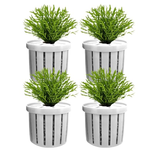 Aquarien Pflanzenbehälter - Pflanzenbecher für Aquarien,4 Stück Hydrokulturhalter für, Wasserdéko für Wohnung Hotel Restaurant Geschäfte Aquarien Pflanzenbehälter - Pflanzenbecher für Aquarien,4 Stück Hydrokulturhalter für, Wasserdéko für Wohnung Hotel Restaurant Geschäfte von Generisch