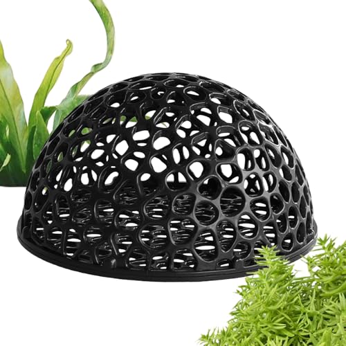 Aquarium Cave, Fish Cave for Aquarium, PP Hollow Hiding House, Shrimp Shelter to Home Breeding, Resting Spot for Turtle, Betta, Saltwater, Freshwater Daily Use, 10.3x10.3x5.5cm Aquarium Cave, Fish Cave for Aquarium, PP Hollow Hiding House, Shrimp Shelter to Home Breeding, Resting Spot for Turtle, Betta, Saltwater, Freshwater Daily Use, 10.3x10.3x5.5cm von Generisch