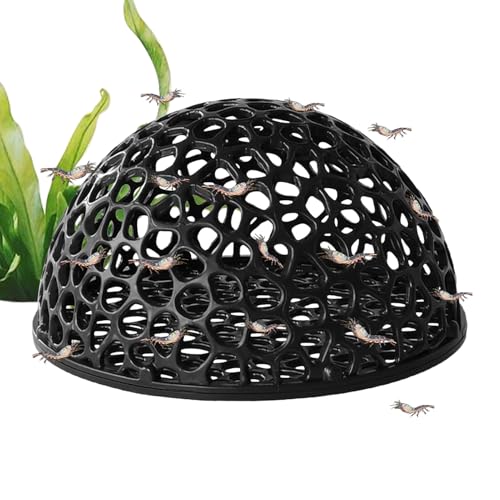 Aquarium Cave, Shrimp Shelter, Hollow House with 4.06x4.06x2.17 Inches, Fish Hiding Spot, Saltwater Freshwater Tank Accessory for Underwater Pets, Turtle Breeding Rest Area von Generisch