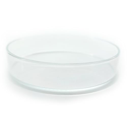 Aquarium Futterschale XXL aus Glas 93x20mm für Terrarium, Garnelen, Schnecken, Welse | Echtglas Futter Schale zum geziehlten füttern | KEIN Acryl/Plastik sondern Laborglas! 6 Größen (93mm x 20mm) von Generisch