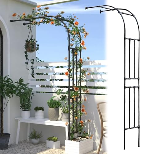 ArcoPer Rosenbogen 2,4 m Metall Pflanzenstütze für Kletterpflanzen Halbkreis Pergola Hochzeitsdeko Outdoor Gartenpavillon Elegant Blumenbogen von Generisch