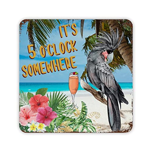 Areca Palmenpflanzen-Blechschild, Sommer-Getränke, Papagei, It's Five O'Clock Somewhere, Metallschild, Vintage-Stil, Sommer-Gartendekoration, Dekor, Schild, Wandbehang für Zuhause, Arbeitszimmer von Generisch