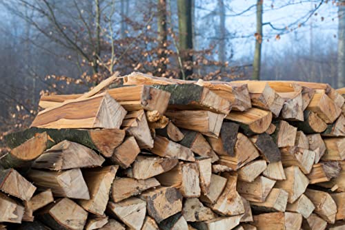 Asstona Brennholz in 33cm - Kaminholz - Reine Buche - 15 Kg ofenfertig gespalten kammergetrocknet von Generisch