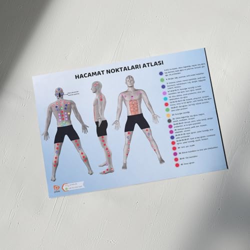 Atlas der Schröpfpunkte Poster 33x48,8cm, Hijama Poster, Hijama Dekoration (Türkisch) von Generisch