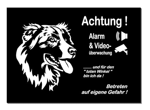 Australian Shepherd-Alarm + Videoüberwacht-Hund-Schild-Hundeschild- 300 x 200 x 3 mm-Aluminium-Hunde-Tierschild-Warnschild-Hinweisschild (1451-140 mit 4 Löcher) von Generisch