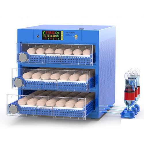 Automatischer Eierbrutkasten mit Feuchtigkeitskontrolle und Display zum Schlüpfen von Hühnern, Enten, Wachteltaubeneiern, inklusive Eierwender und Kerze Automatischer Eierbrutkasten mit Feuchtigkeitskontrolle und Display zum Schlüpfen von Hühnern, Enten, Wachteltaubeneiern, inklusive Eierwender und Kerze von Generisch