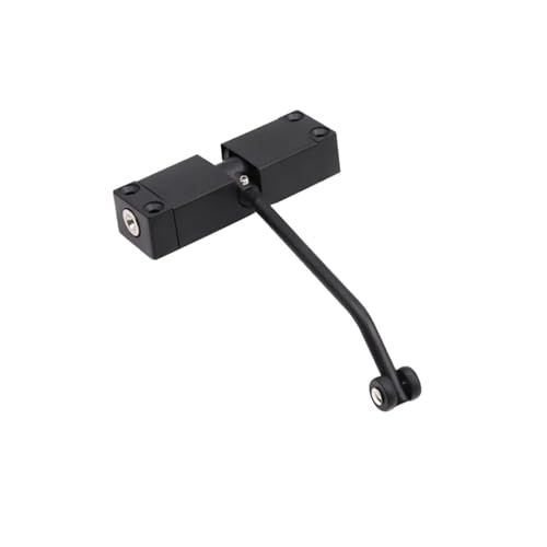 Automatischer Türschließer aus Edelstahl, Rückprall-Türstopper mit verschleißfester Feder, robuste Sicherheitslösung für den privaten und gewerblichen Gebrauch – starke Schließkraft (schwarz) von Generisch