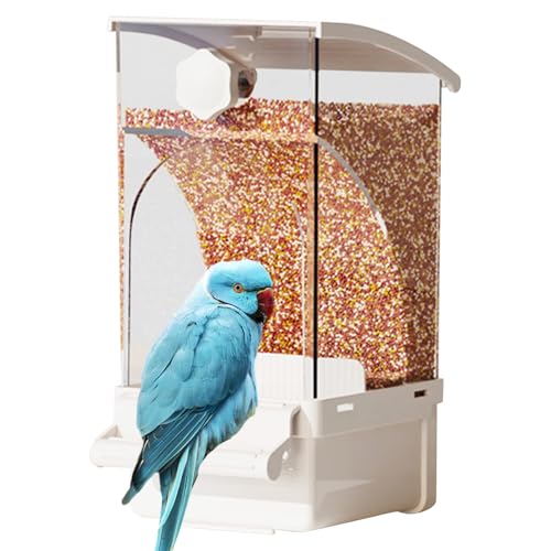 Automatischer Vogelfutterleiter | Transparenter Samen -Lebensmittelspender | Volksdekor Für Cockatiel Shotet | Langlebiger Plastikzubehör Für Cockatiell Canary Cockatoo Conure Shests Shotoo -Flossenkä Automatischer Vogelfutterleiter | Transparenter Samen -Lebensmittelspender | Volksdekor Für Cockatiel Shotet | Langlebiger Plastikzubehör Für Cockatiell Canary Cockatoo Conure Shests Shotoo -Flossenkä von Generisch