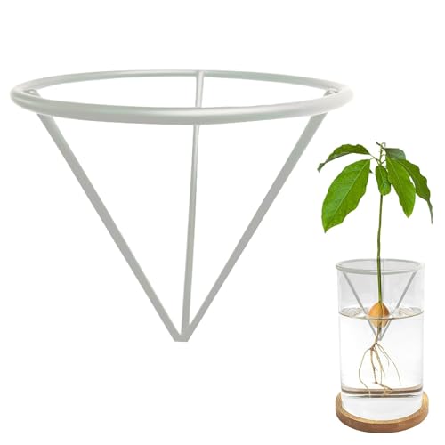 Avocado Anzuchthalter - Avocado Anzucht Dreieckiger Halter | Avocado Baum Growing | Metall Halterung für Avocado Wurzel | Avocado Samen Vase Halter | Wurzelstarter Halter Halterung für Anzucht Avocado Anzuchthalter - Avocado Anzucht Dreieckiger Halter | Avocado Baum Growing | Metall Halterung für Avocado Wurzel | Avocado Samen Vase Halter | Wurzelstarter Halter Halterung für Anzucht von Generisch